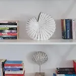 Meduza